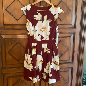 New with tags, Small, Honey and Roses dress